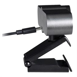 Камера Web A4Tech PK-1000HA черный 8Mpix (3840x2160) USB3.0 с микрофоном - фото 51422447