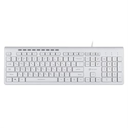 Клавиатура Оклик 490ML белый USB slim Multimedia LED - фото 51423506