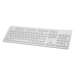Клавиатура Оклик 505M белый USB slim - фото 51423523