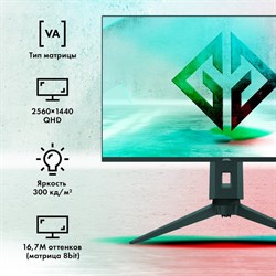 Монитор GMNG 31.5"Gaming GM-32F11 черный LED 1ms 16:9 HDMI M/M матовая HAS Piv 300cd 178гр/ - фото 51427332