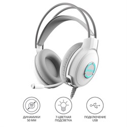 Наушники с микрофоном A4Tech Fstyler FH300U белый 2м мониторные USB оголовье (FH300U WHITE)   100465 - фото 51428230