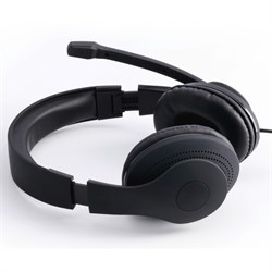 Наушники с микрофоном Hama HS-USB300 черный 2м мониторные оголовье (00139924) - фото 51428392
