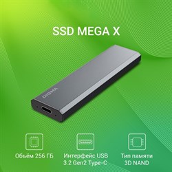 Накопитель SSD Digma USB 3.2 256Gb DGSM8256G1MGG MEGA X 1.8" темно-серый - фото 51428791