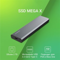 Накопитель SSD Digma USB 3.2 2Tb DGSM8002T1MGG MEGA X 1.8" темно-серый - фото 51428801