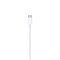 Кабель Apple (MKQ42ZM/A), Lightning - USB Type C, 2 м, белый - фото 51368294 Кабель Apple (MKQ42ZM/A), Lightning - USB Type C, 2 м, белый - фото 51368294