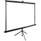 Экран Cactus 200x200см TriExpert CS-PSTE-200x200-BK 1:1 напольный рулонный черный - фото 51368561 Экран Cactus 200x200см TriExpert CS-PSTE-200x200-BK 1:1 напольный рулонный черный - фото 51368561