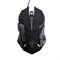 Комплект клавиатура+мышь+ковер Qumo Mystic K58/M76, проводная, мембран, 3200 dpi, USB,чёрный - фото 51368861 Комплект клавиатура+мышь+ковер Qumo Mystic K58/M76, проводная, мембран, 3200 dpi, USB,чёрный - фото 51368861