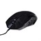 Мышь MARVO M207, игровая, проводная, подсветка, 3200 dpi, USB, чёрная - фото 51372642 Мышь MARVO M207, игровая, проводная, подсветка, 3200 dpi, USB, чёрная - фото 51372642