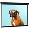 Экран Cactus 183x244см CS-PSW-183X244-BK, 4:3, настенно-потолочный, рулонный, черный - фото 51374468 Экран Cactus 183x244см CS-PSW-183X244-BK, 4:3, настенно-потолочный, рулонный, черный - фото 51374468