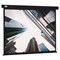 Экран Cactus 124.5x221см CS-PSW-124X221-BK, 16:9, настенно-потолочный, рулонный, черный - фото 51374496 Экран Cactus 124.5x221см CS-PSW-124X221-BK, 16:9, настенно-потолочный, рулонный, черный - фото 51374496