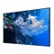 Экран Cactus 151x267см CS-PSALR-267X151, 16:9, на раме, настенный, натяжной - фото 51374511 Экран Cactus 151x267см CS-PSALR-267X151, 16:9, на раме, настенный, натяжной - фото 51374511