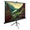 Экран Cactus 220x220см CS-PSTE-220x220-BK, 1:1, напольный, рулонный, черный - фото 51374551 Экран Cactus 220x220см CS-PSTE-220x220-BK, 1:1, напольный, рулонный, черный - фото 51374551