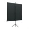 Экран на треноге Lumien 150x150 см, Eco View LEV-100101, 1:1, напольный, рулонный - фото 51374698 Экран на треноге Lumien 150x150 см, Eco View LEV-100101, 1:1, напольный, рулонный - фото 51374698