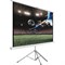 Экран на треноге Hiper 183x244 см, Cinema STP 4x3-120, 4:3, напольный, рулонный - фото 51374699 Экран на треноге Hiper 183x244 см, Cinema STP 4x3-120, 4:3, напольный, рулонный - фото 51374699