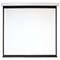 Экран 240x240 см, Digis Electra-F DSEF-1108, 1:1, настенно-потолочный, рулонный, привод - фото 51374716