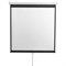 Экран 240x240 см, Digis Optimal-D DSOD-1107, 1:1, настенно-потолочный, рулонный - фото 51374736 Экран 240x240 см, Digis Optimal-D DSOD-1107, 1:1, настенно-потолочный, рулонный - фото 51374736