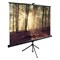 Экран Cactus 135x180см TriExpert CS-PSTE-180x135-BK, 4:3, напольный, рулонный, черный - фото 51377133 Экран Cactus 135x180см TriExpert CS-PSTE-180x135-BK, 4:3, напольный, рулонный, черный - фото 51377133