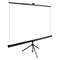 Экран Cactus 135x180см TriExpert CS-PSTE-180x135-BK, 4:3, напольный, рулонный, черный - фото 51377134 Экран Cactus 135x180см TriExpert CS-PSTE-180x135-BK, 4:3, напольный, рулонный, черный - фото 51377134