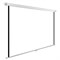 Экран Cactus 138x220см CS-PSWE-220x138-WT, 16:10, настенно-потолочный, рулонный, белый - фото 51377181