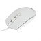 Мышь Dialog MGK-07U WHITE Gan-Kata, игровая, проводная, подсветка, 1600 dpi, USB, белая - фото 51377824 Мышь Dialog MGK-07U WHITE Gan-Kata, игровая, проводная, подсветка, 1600 dpi, USB, белая - фото 51377824
