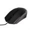 Мышь ExeGate Professional Standard SH-9025, проводная, оптическая, 1000 dpi, USB, чёрная - фото 51378403 Мышь ExeGate Professional Standard SH-9025, проводная, оптическая, 1000 dpi, USB, чёрная - фото 51378403