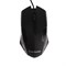 Мышь ExeGate Professional Standard SH-9025, проводная, оптическая, 1000 dpi, USB, чёрная - фото 51378404 Мышь ExeGate Professional Standard SH-9025, проводная, оптическая, 1000 dpi, USB, чёрная - фото 51378404