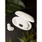 Наушники Accesstyle Citrus TWS, беспроводные, вакуумные, BT 5.3, 250мАч, сенсор, IP4, белые - фото 51379538 Наушники Accesstyle Citrus TWS, беспроводные, вакуумные, BT 5.3, 250мАч, сенсор, IP4, белые - фото 51379538