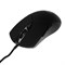 Мышь CANYON Accepter GM-211, игровая, проводная, оптическая, 7200 dpi, USB, 1.65 м, черная - фото 51381491 Мышь CANYON Accepter GM-211, игровая, проводная, оптическая, 7200 dpi, USB, 1.65 м, черная - фото 51381491