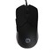 Мышь CANYON Accepter GM-211, игровая, проводная, оптическая, 7200 dpi, USB, 1.65 м, черная - фото 51381492 Мышь CANYON Accepter GM-211, игровая, проводная, оптическая, 7200 dpi, USB, 1.65 м, черная - фото 51381492
