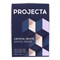 Бумага А4 500л PROJECTA SPECIAL, 80г/м2, белизна 162% CIE, класс В - фото 51385503 Бумага А4 500л PROJECTA SPECIAL, 80г/м2, белизна 162% CIE, класс В - фото 51385503