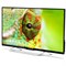 Телевизор PolarLine 43PL51STC-SM, 43", 1920х1080, DVB-T2/C, 3xHDMI, 2xUSB, SmartTV, чёрный 718171 - фото 51390847 Телевизор PolarLine 43PL51STC-SM, 43", 1920х1080, DVB-T2/C, 3xHDMI, 2xUSB, SmartTV, чёрный 718171 - фото 51390847
