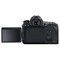 Зеркальный Фотоаппарат Canon EOS 6D Mark II, 26.2 Мп, 3", 1080р, SD, (без объектива), чёрный 79878 - фото 51391912 Зеркальный Фотоаппарат Canon EOS 6D Mark II, 26.2 Мп, 3", 1080р, SD, (без объектива), чёрный 79878 - фото 51391912