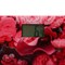 Весы напольные HOMESTAR HS-6001L, электронные, до 180 кг, 1хCR2032, стекло - фото 51413686 Весы напольные HOMESTAR HS-6001L, электронные, до 180 кг, 1хCR2032, стекло - фото 51413686