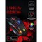 Мышь A4Tech Bloody Q51 черный/рисунок оптическая (6200dpi) USB (8but) - фото 51416440 Мышь A4Tech Bloody Q51 черный/рисунок оптическая (6200dpi) USB (8but) - фото 51416440