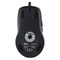 Мышь A4Tech XL-750BK черный лазерная (3600dpi) USB2.0 (6but) - фото 51416619 Мышь A4Tech XL-750BK черный лазерная (3600dpi) USB2.0 (6but) - фото 51416619
