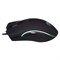 Мышь Оклик 708G MYSTERY черный оптическая (3200dpi) USB (7but) - фото 51416679 Мышь Оклик 708G MYSTERY черный оптическая (3200dpi) USB (7but) - фото 51416679