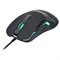 Мышь Оклик 865G Snake черный оптическая (2400dpi) USB (6but) - фото 51416777 Мышь Оклик 865G Snake черный оптическая (2400dpi) USB (6but) - фото 51416777