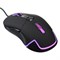 Мышь Оклик 965G RACER черный оптическая (2400dpi) USB (6but) - фото 51416842 Мышь Оклик 965G RACER черный оптическая (2400dpi) USB (6but) - фото 51416842