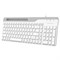 Клавиатура A4Tech Fstyler FK25 белый/серый USB slim - фото 51423170 Клавиатура A4Tech Fstyler FK25 белый/серый USB slim - фото 51423170