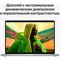 Ноутбук Apple MacBook Pro A2485 M1 Pro 10 core 16Gb SSD512Gb/16 core GPU 16.2" (3456x2234)/E 10045 - фото 51424205 Ноутбук Apple MacBook Pro A2485 M1 Pro 10 core 16Gb SSD512Gb/16 core GPU 16.2" (3456x2234)/E 10045 - фото 51424205