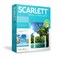 Весы напольные Scarlett BS33ED12, диагностические, до 180 кг, 1хCR2032, стекло, "пальмы" - фото 51424786 Весы напольные Scarlett BS33ED12, диагностические, до 180 кг, 1хCR2032, стекло, "пальмы" - фото 51424786