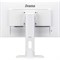 Монитор Iiyama 23.8" ProLite XUB2492HSU-W1 белый IPS LED 16:9 HDMI M/M матовая HAS Piv 1000:   10046 - фото 51427517